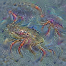 n01978287 Dungeness crab, Cancer magister